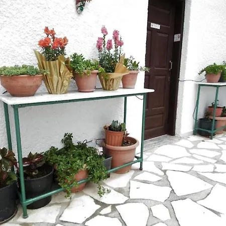 Appartement With Garden View No12