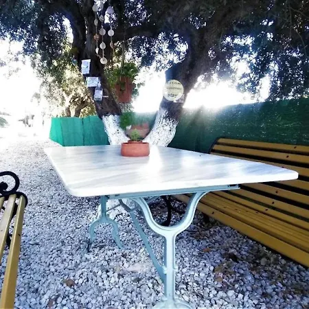 With Garden View No12 Appartement
